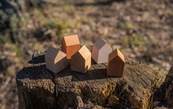 Wooden modular models sit outside, on top a tree stump