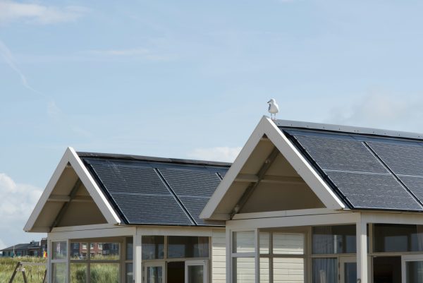 A Seagull sits on top of a modular cabin with a solar panelled roof