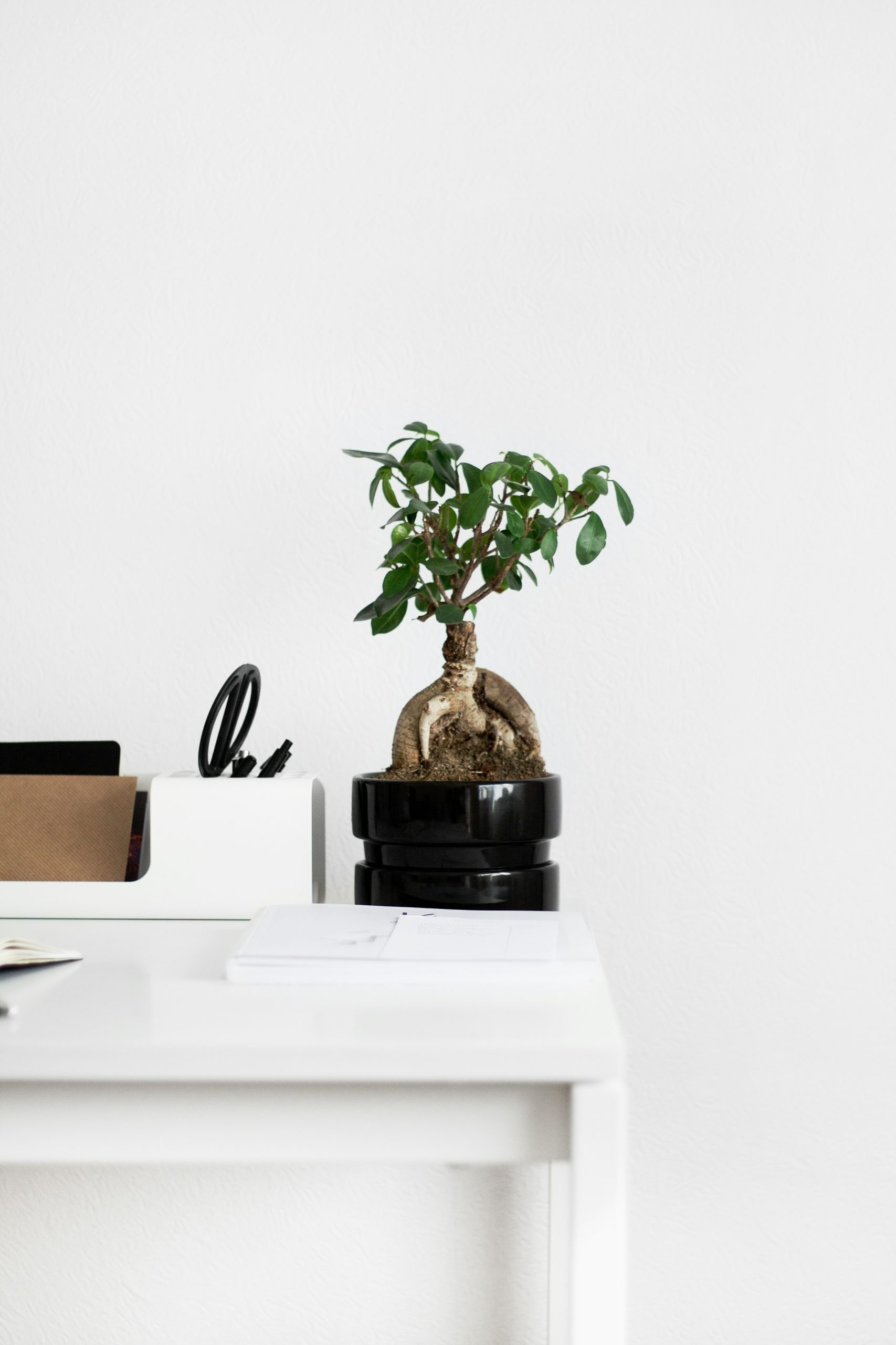 Green healthy office space achieved using modular